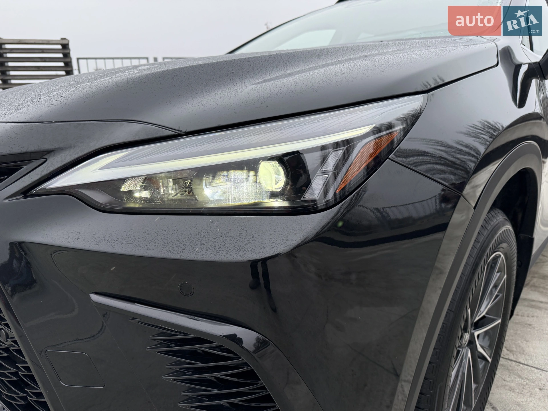 2024 Lexus NX - мініатюра 6