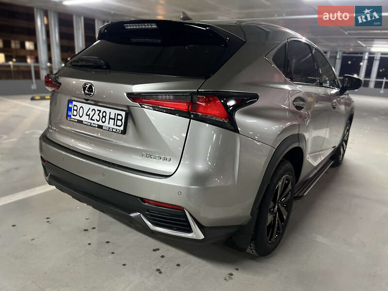 Внедорожник / Кроссовер Lexus NX 2020 в Киеве фото 12 Внедорожник / Кроссовер Lexus NX 2020 в Киеве