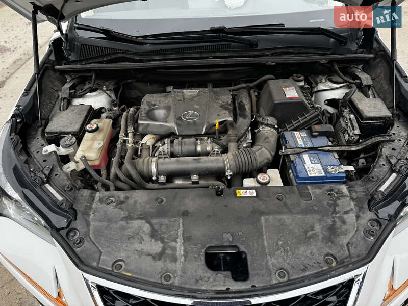 Позашляховик / Кросовер Lexus NX 2021 в Житомирі фото 62 Позашляховик / Кросовер Lexus NX 2021 в Житомирі