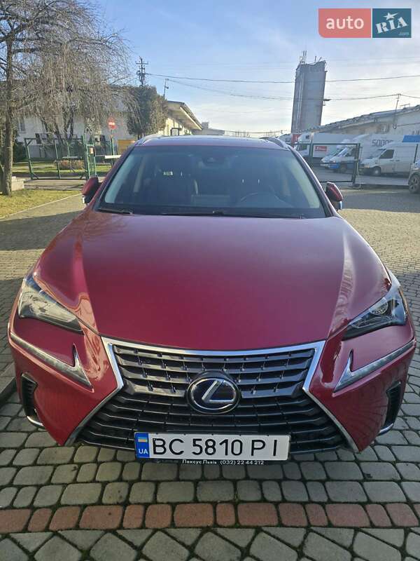 Внедорожник / Кроссовер Lexus NX 2020 в Львове фото 9 Внедорожник / Кроссовер Lexus NX 2020 в Львове