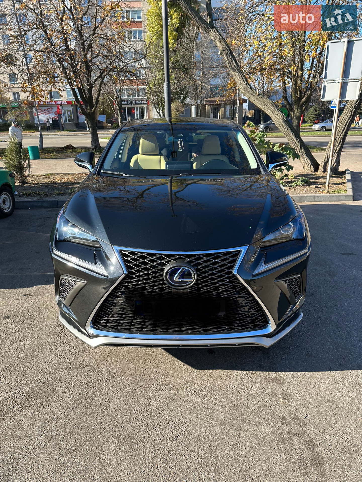 2019 Lexus NX - мініатюра 3