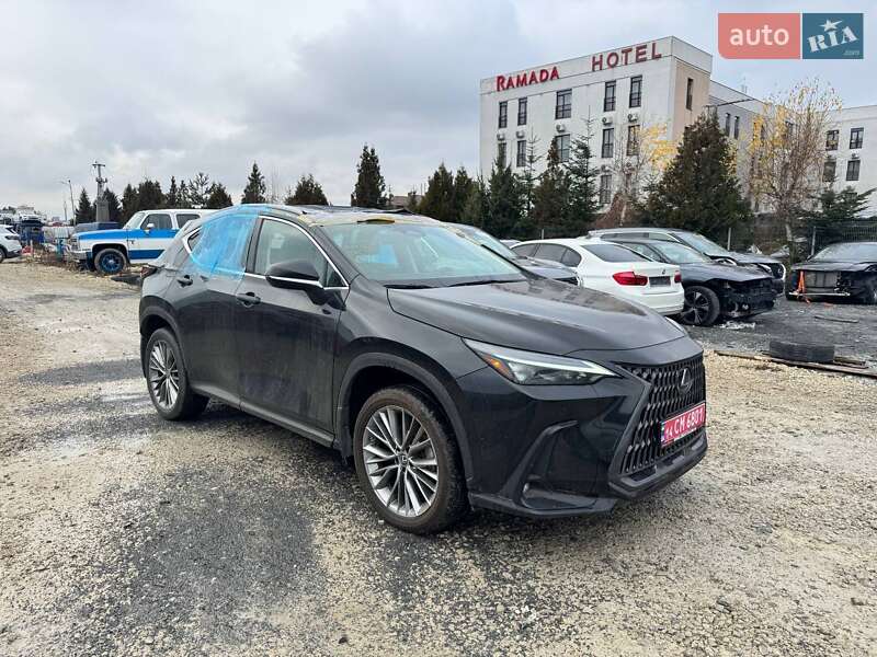 Внедорожник / Кроссовер Lexus NX 2022 в Львове фото 3 Внедорожник / Кроссовер Lexus NX 2022 в Львове