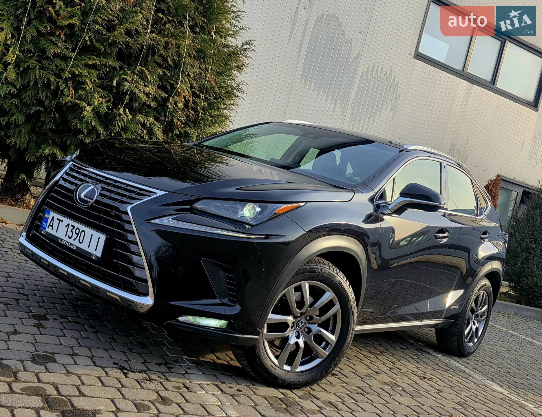 2018 Lexus NX - мініатюра 4