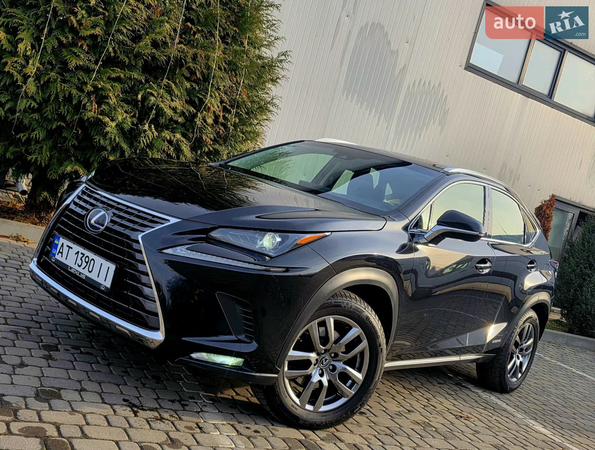 2018 Lexus NX - мініатюра 8