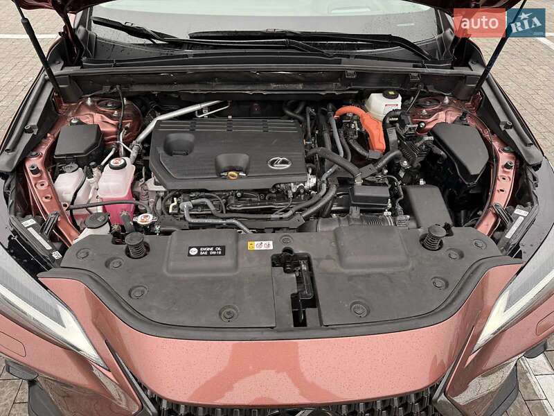 Внедорожник / Кроссовер Lexus NX 2024 в Одессе