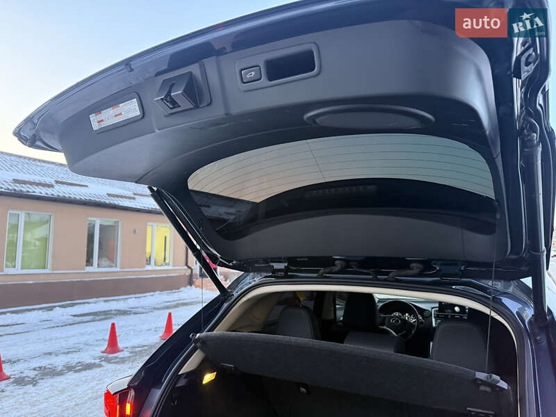 Внедорожник / Кроссовер Lexus NX 2015 в Днепре фото 34 Внедорожник / Кроссовер Lexus NX 2015 в Днепре