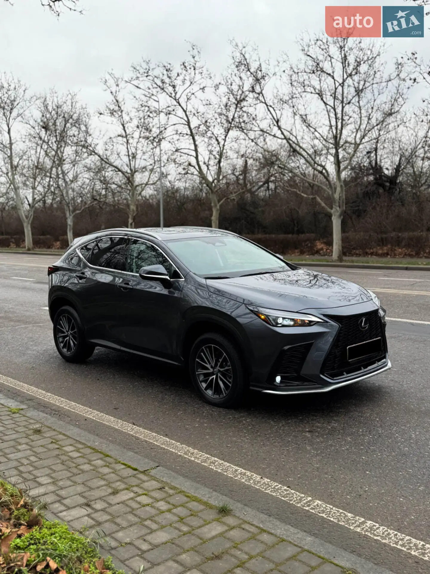 2023 Lexus NX - мініатюра 2
