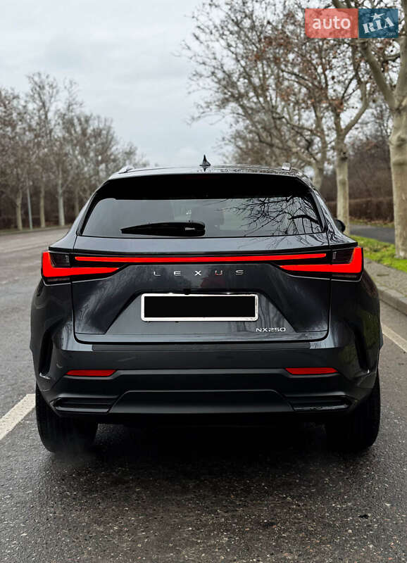 Внедорожник / Кроссовер Lexus NX 2023 в Одессе