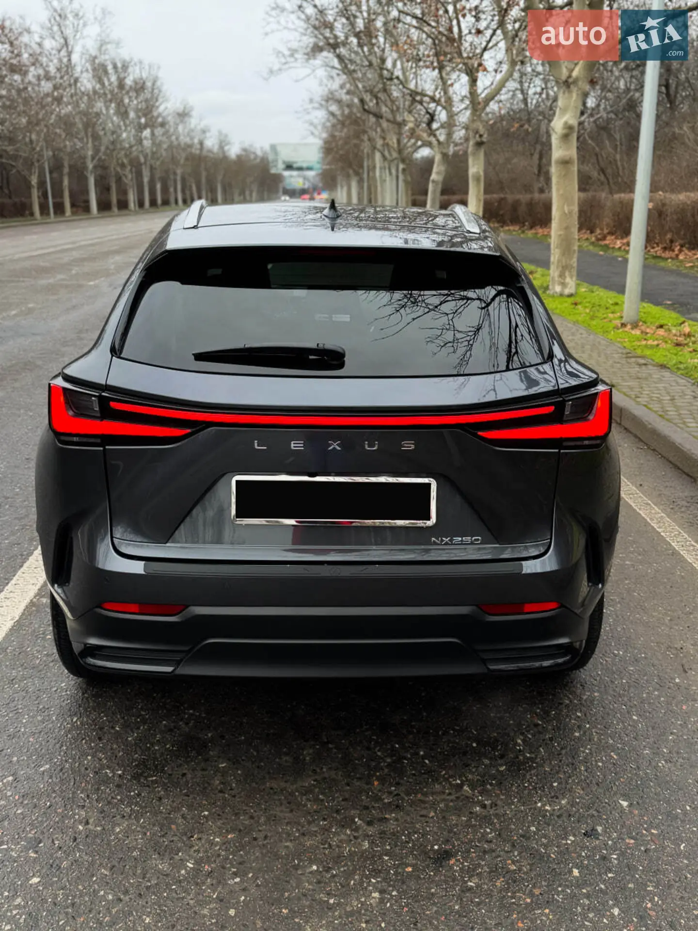 2023 Lexus NX - мініатюра 8