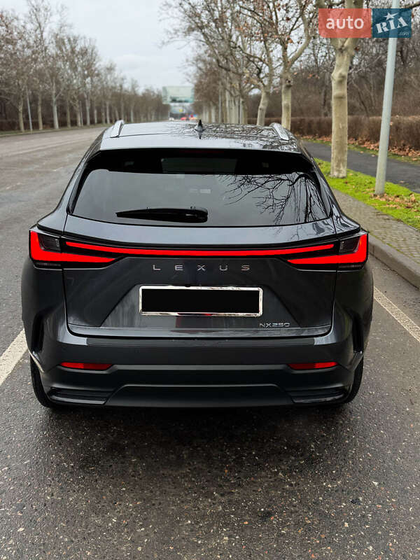Внедорожник / Кроссовер Lexus NX 2023 в Одессе