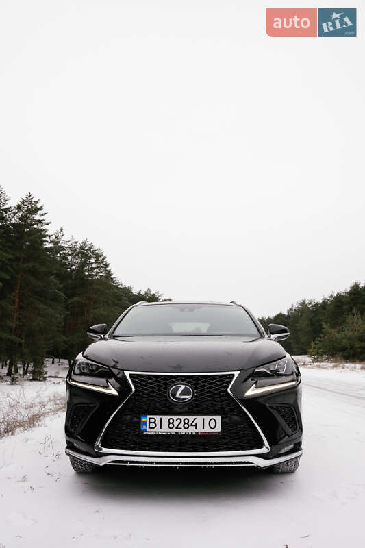 Позашляховик / Кросовер Lexus NX 2020 в Кременчуці фото 4 Позашляховик / Кросовер Lexus NX 2020 в Кременчуці