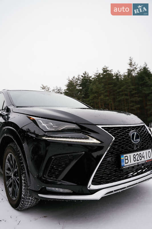 Позашляховик / Кросовер Lexus NX 2020 в Кременчуці фото 9 Позашляховик / Кросовер Lexus NX 2020 в Кременчуці