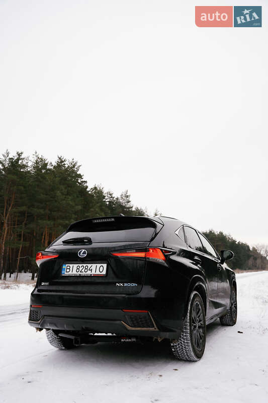 Позашляховик / Кросовер Lexus NX 2020 в Кременчуці фото 14 Позашляховик / Кросовер Lexus NX 2020 в Кременчуці