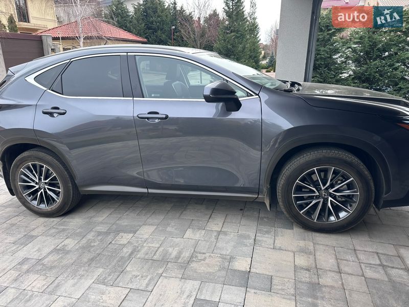 Внедорожник / Кроссовер Lexus NX 2023 в Одессе фото 2 Внедорожник / Кроссовер Lexus NX 2023 в Одессе