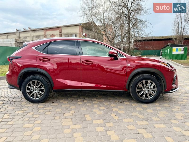 Внедорожник / Кроссовер Lexus NX 2019 в Виннице фото 14 Внедорожник / Кроссовер Lexus NX 2019 в Виннице