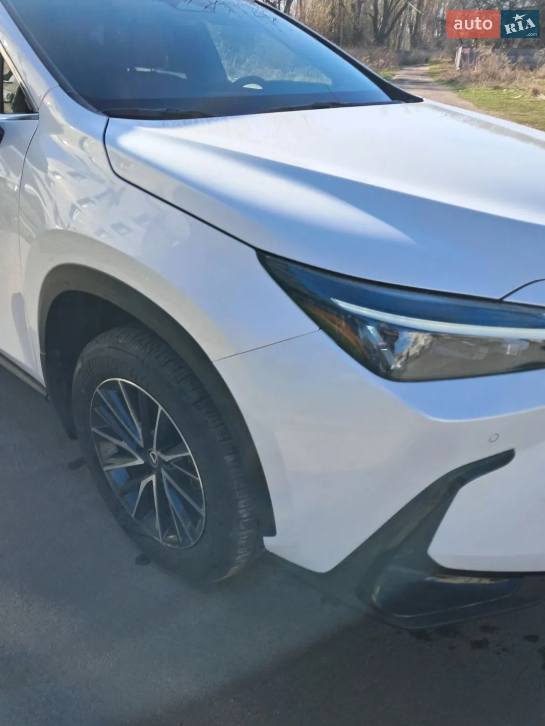 2025 Lexus NX - мініатюра 13