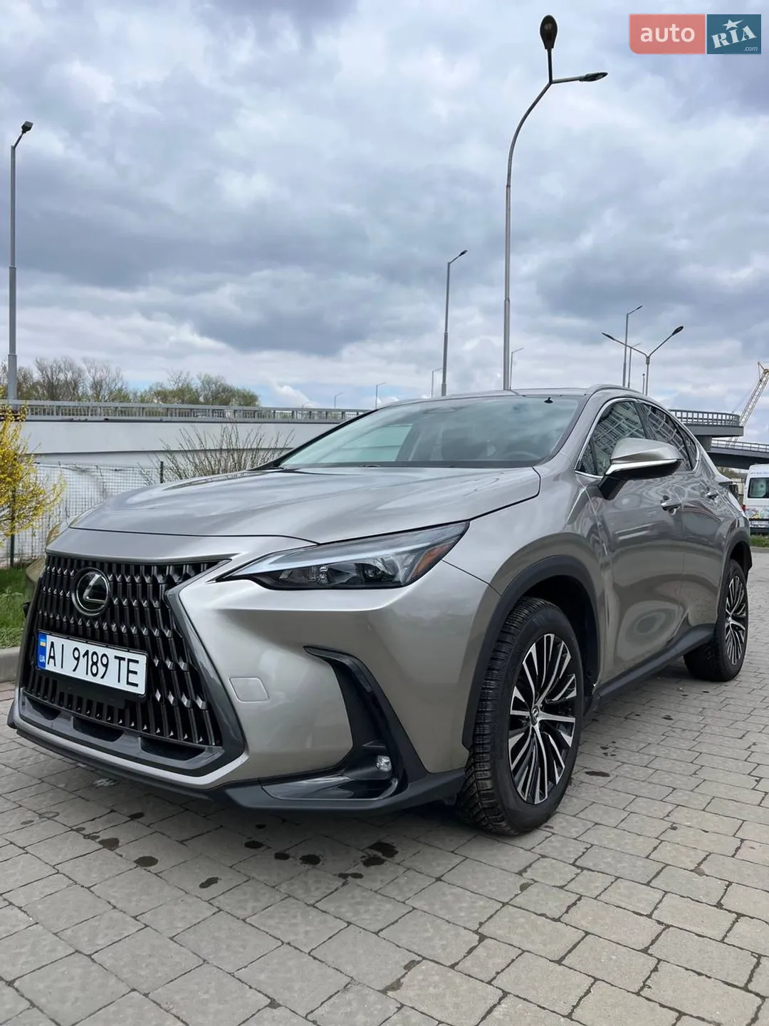 2024 Lexus NX - мініатюра 13