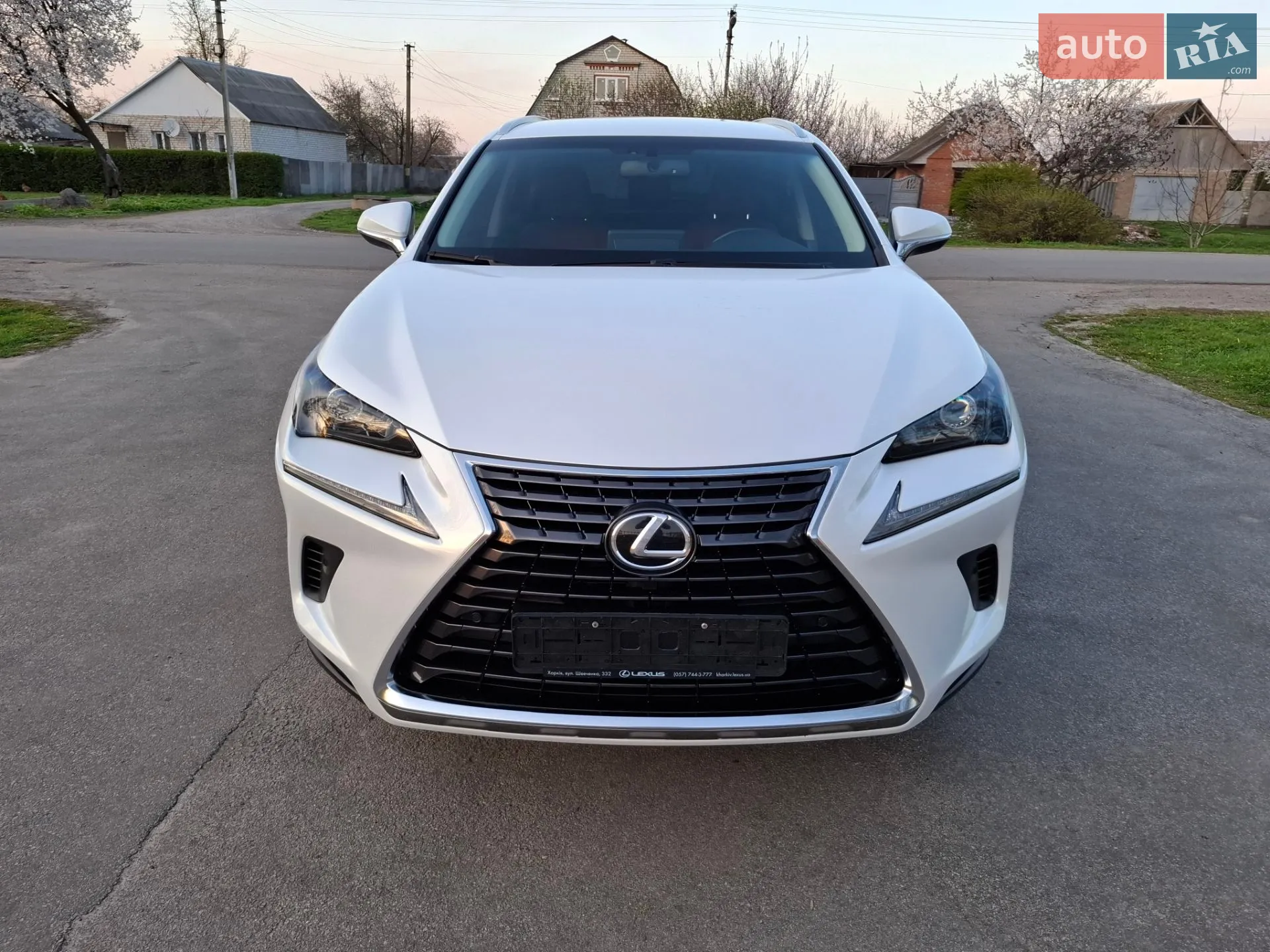 2019 Lexus NX - мініатюра 2