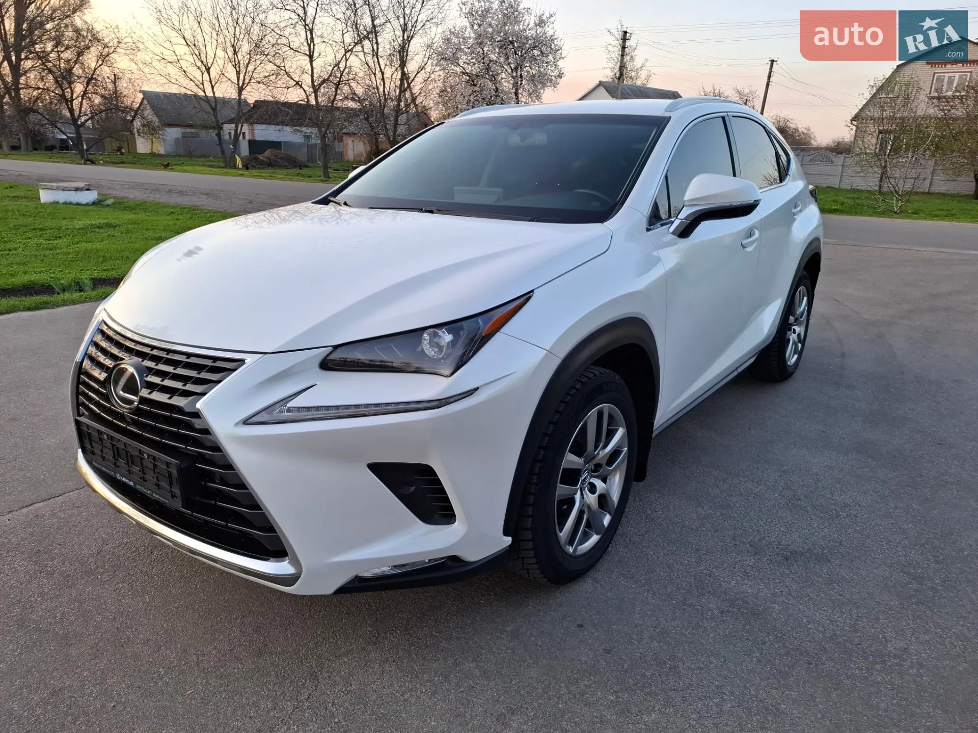 2019 Lexus NX - мініатюра 3
