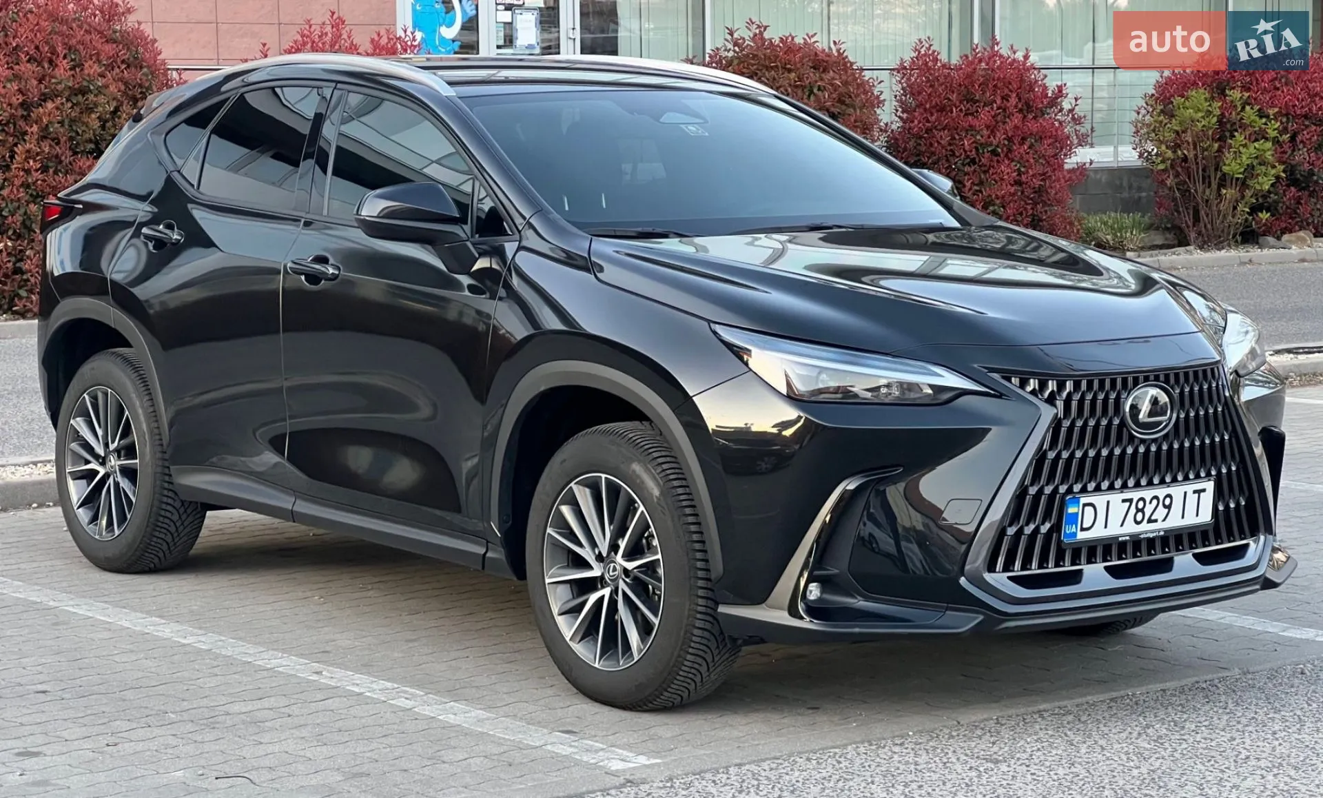 2023 Lexus NX - мініатюра 15