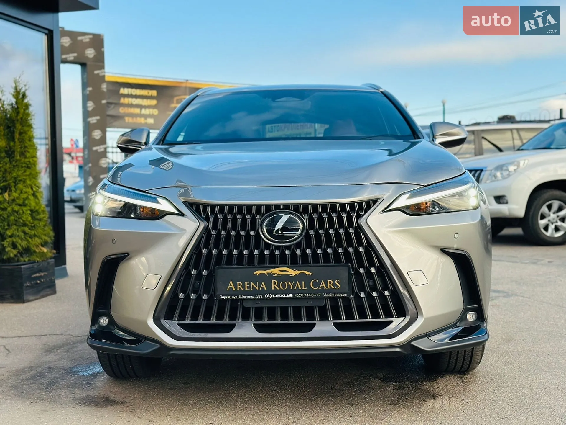 2025 Lexus NX - мініатюра 6