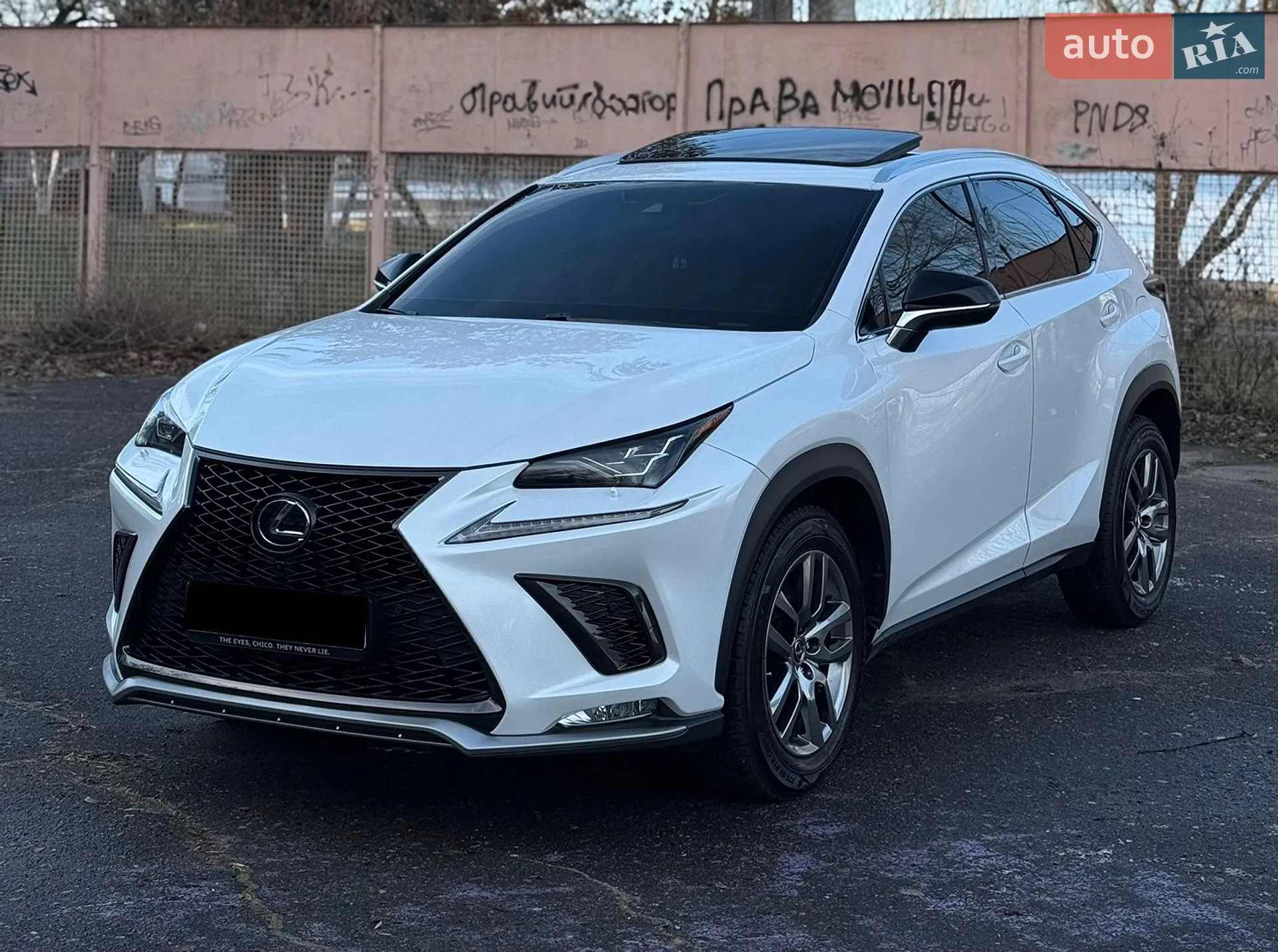 2019 Lexus NX - мініатюра 2