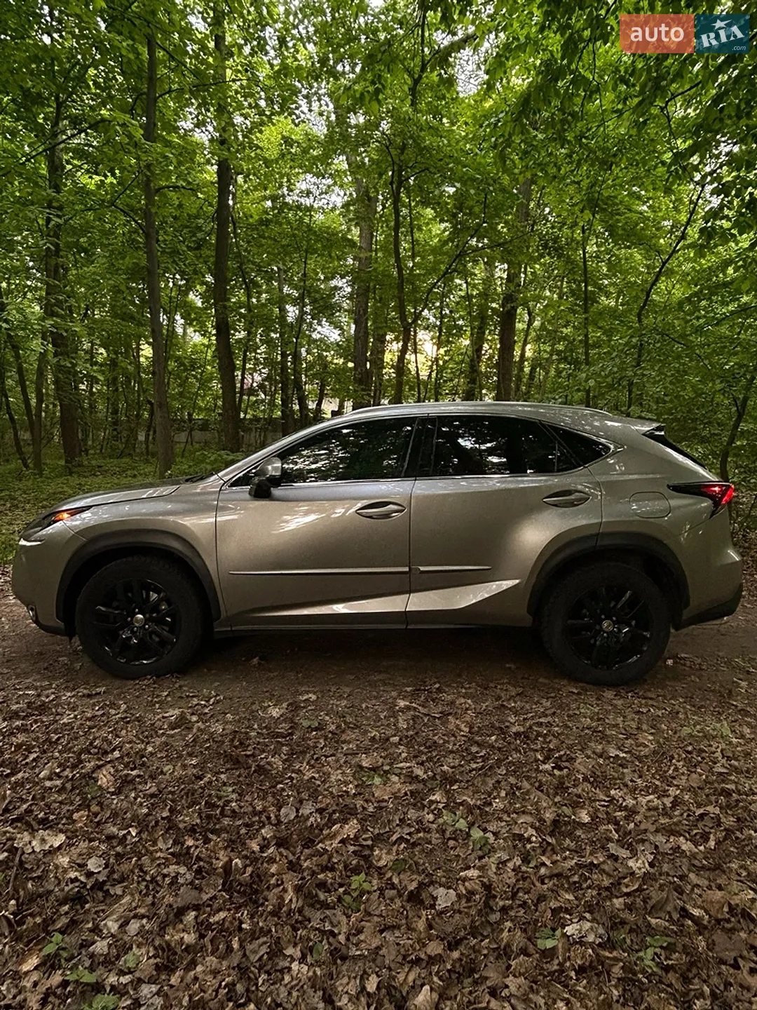 2014 Lexus NX - мініатюра 4