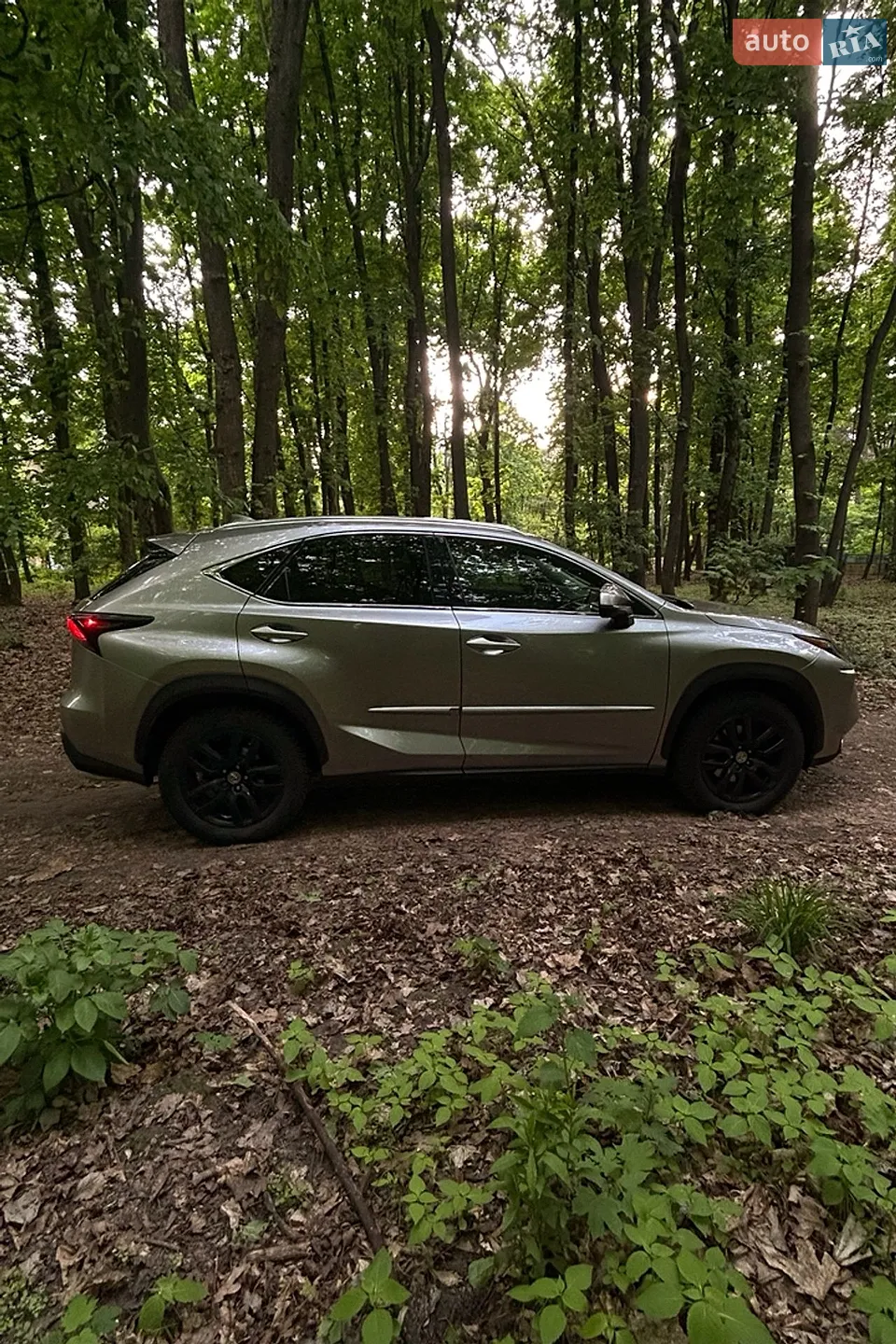 2014 Lexus NX - мініатюра 8
