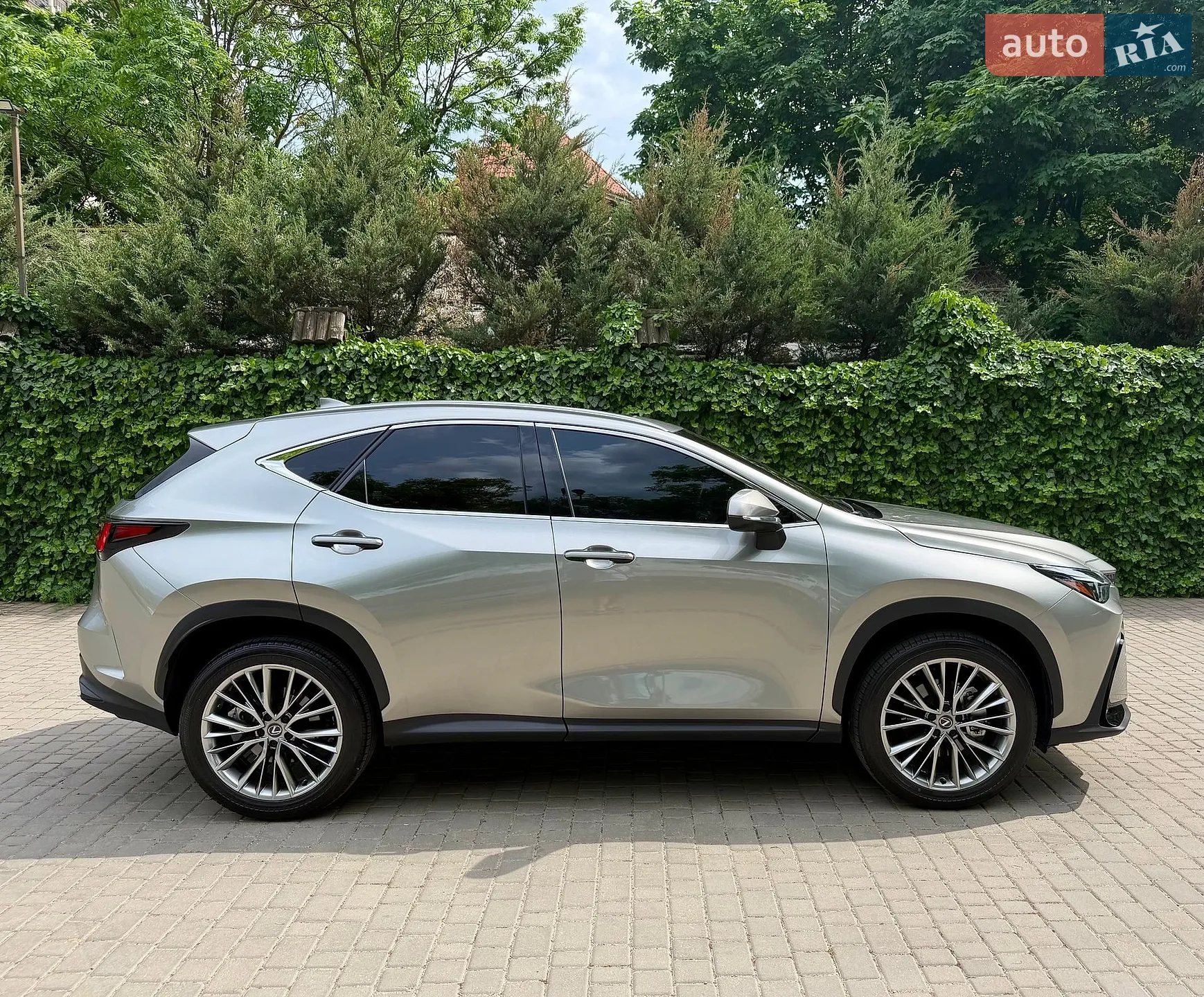 2025 Lexus NX - мініатюра 8