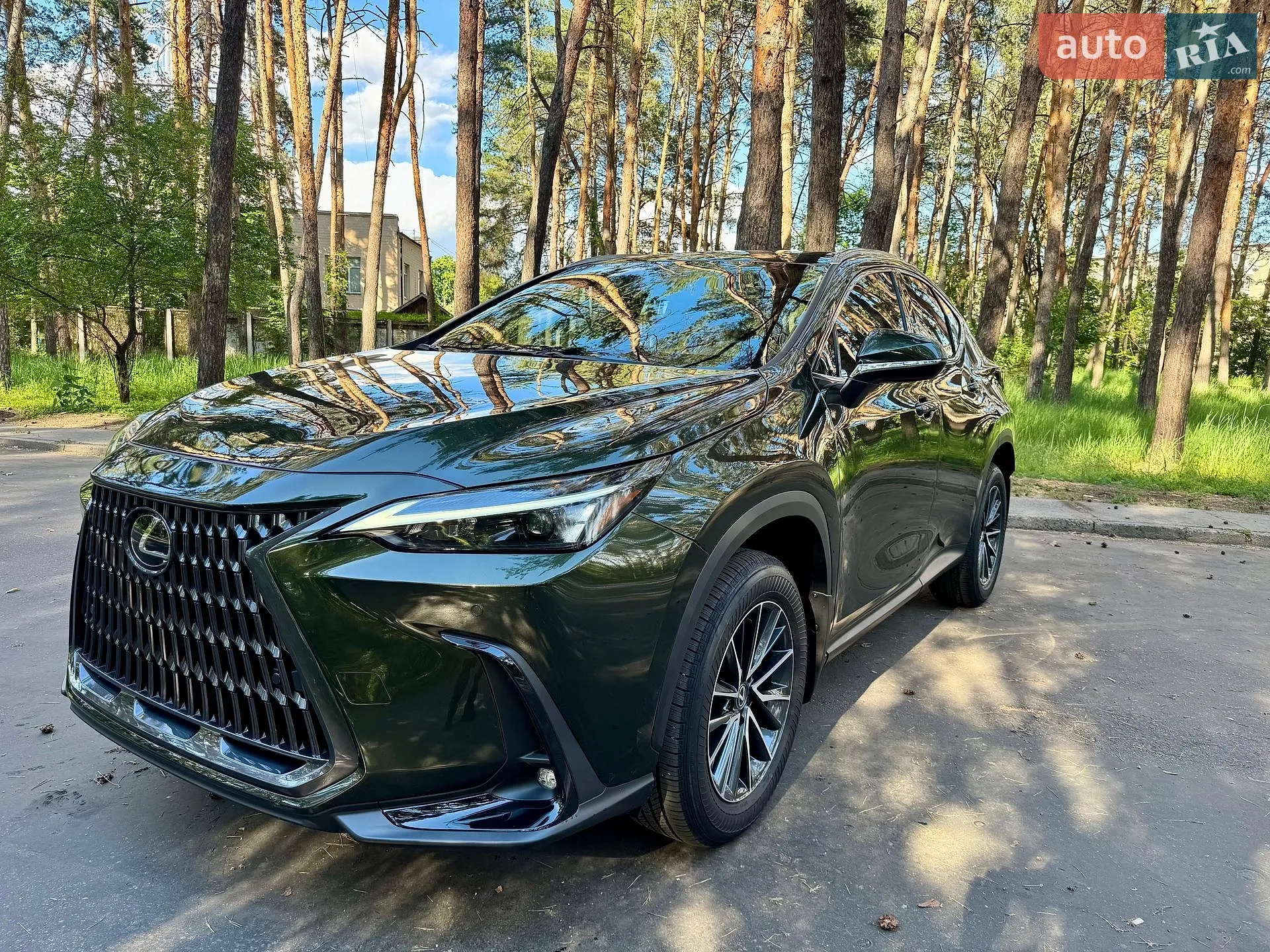 2025 Lexus NX - мініатюра 5