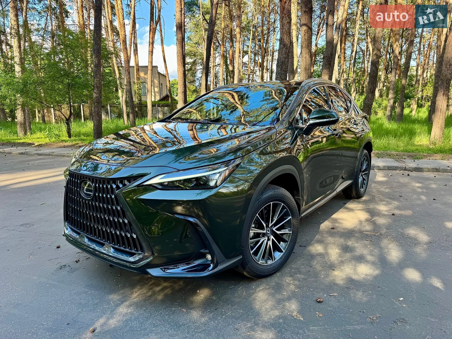 2025 Lexus NX - мініатюра 2