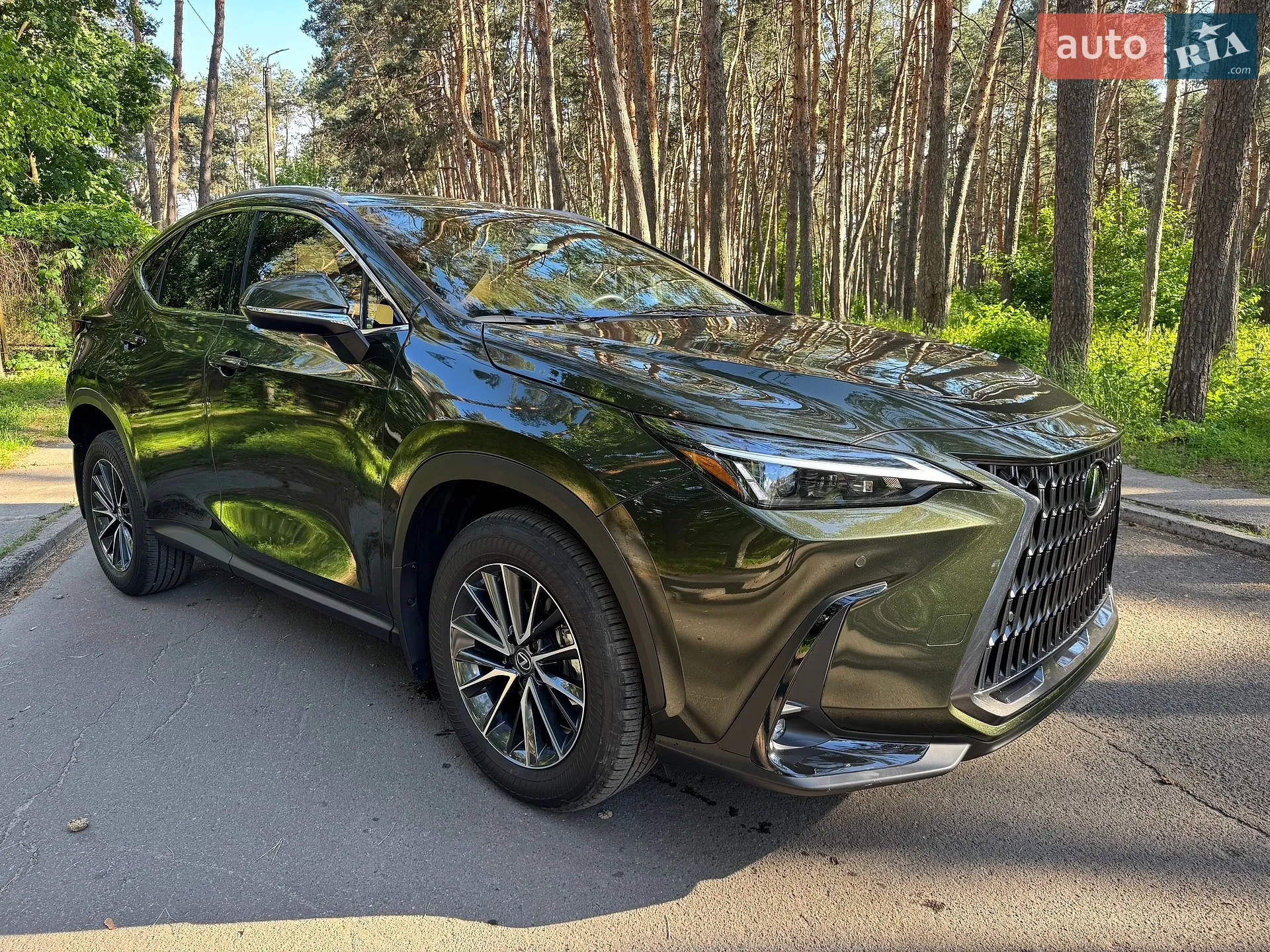 2025 Lexus NX - мініатюра 10