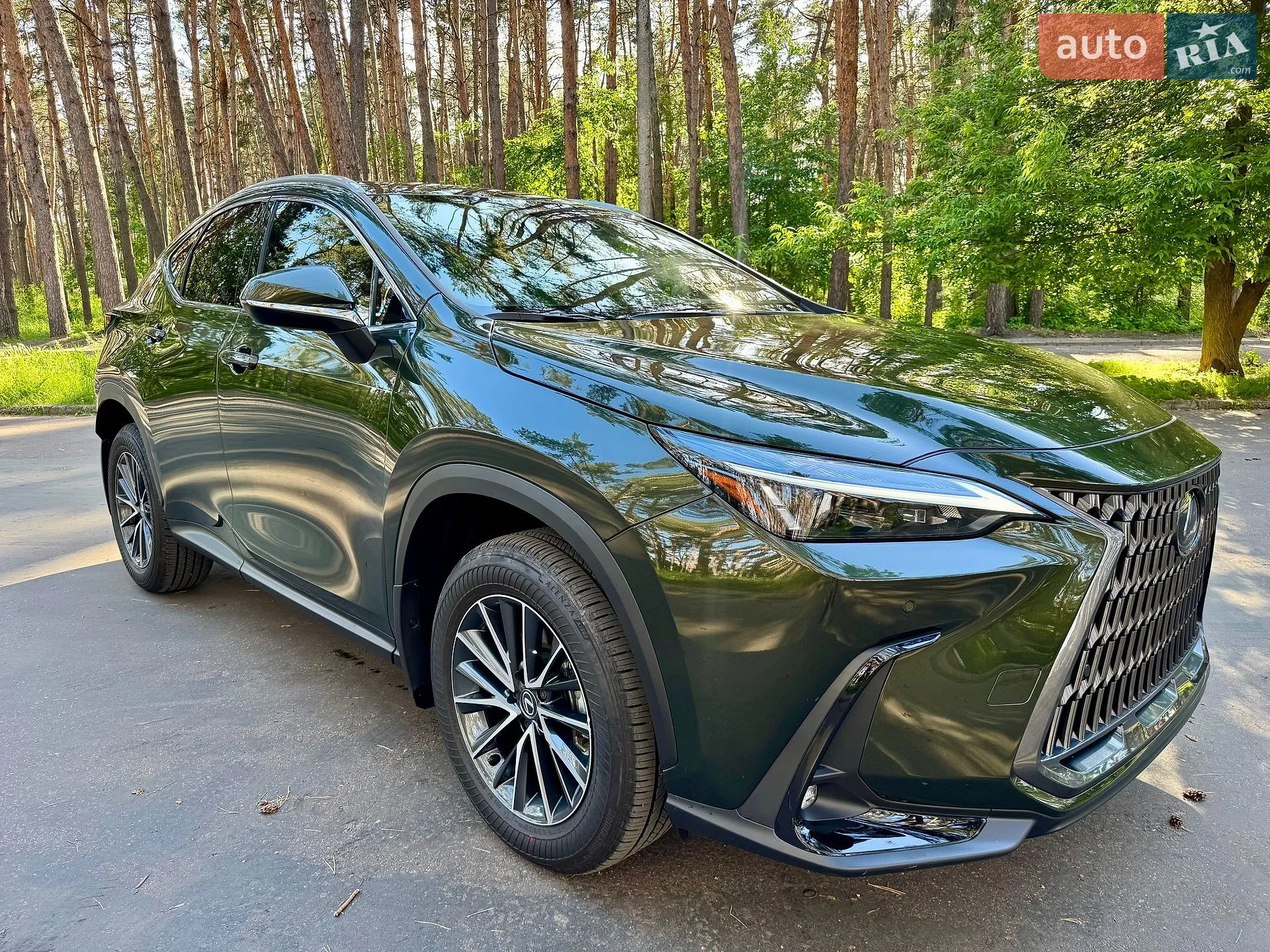 2025 Lexus NX - мініатюра 18