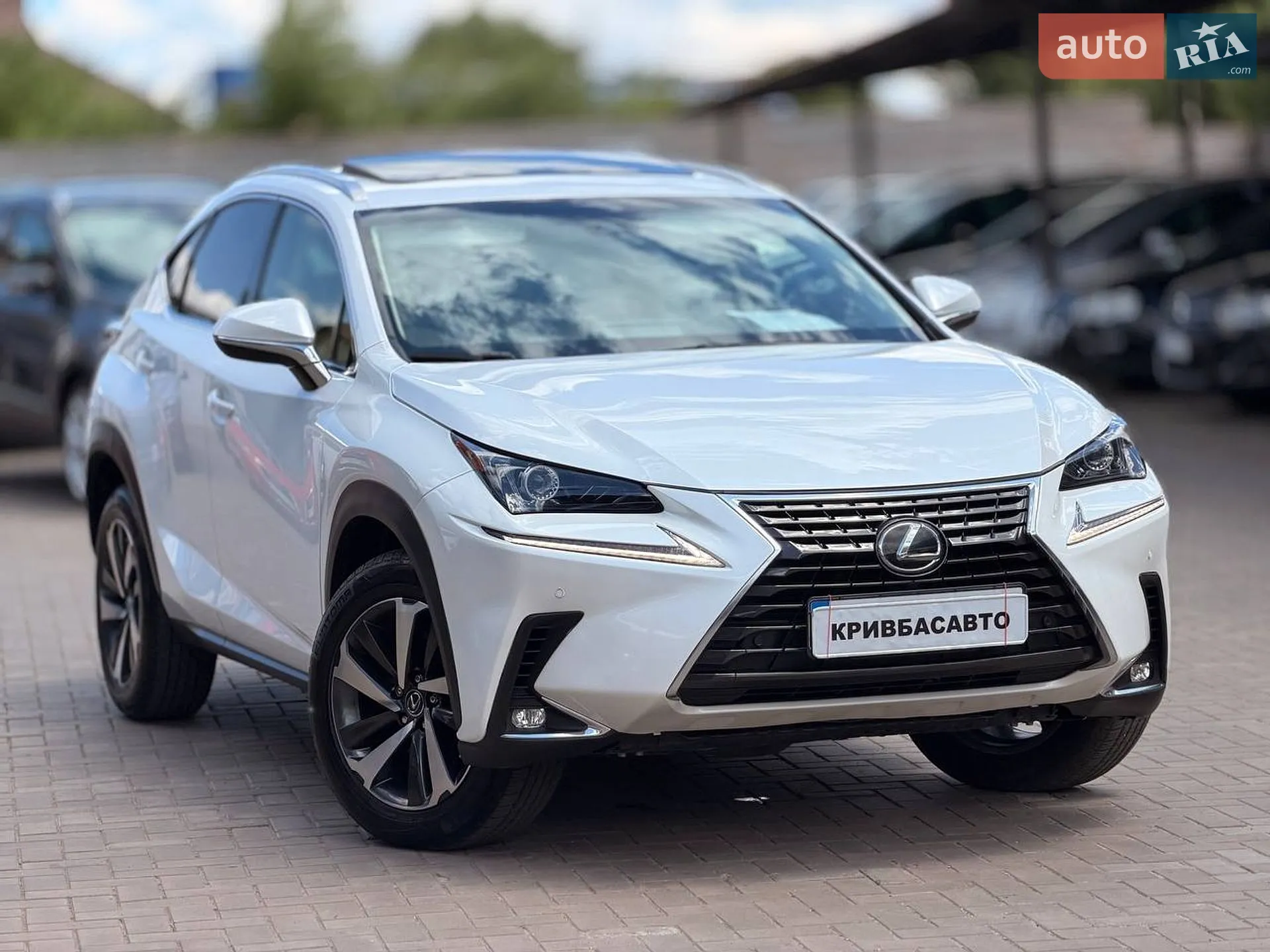 2018 Lexus NX - фото 1