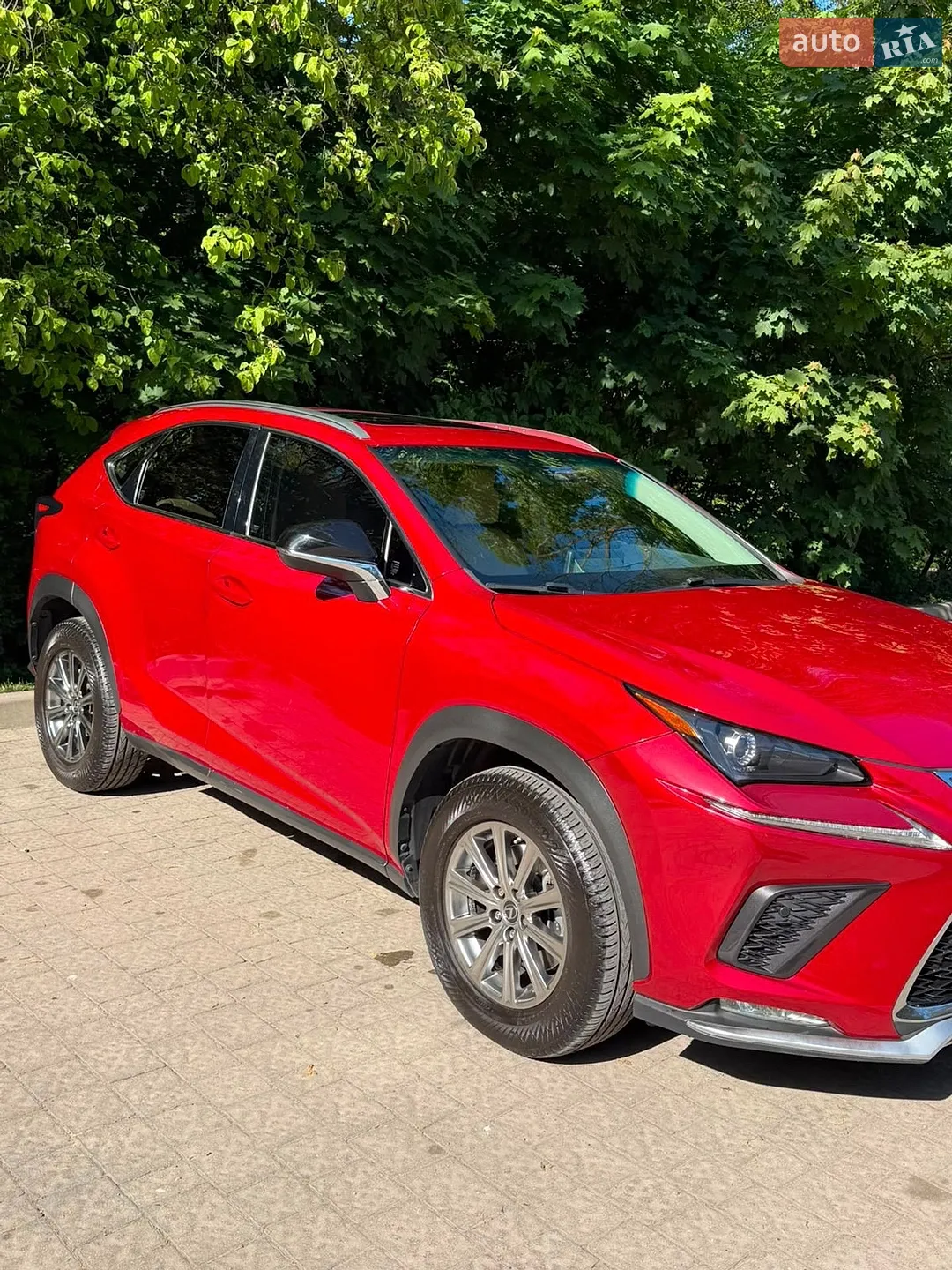 2019 Lexus NX - мініатюра 3
