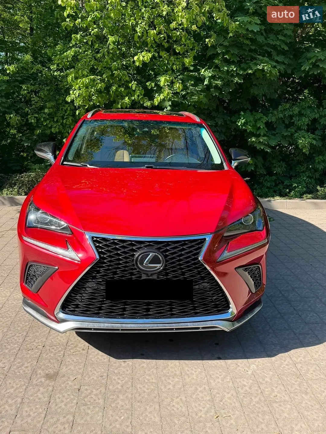 2019 Lexus NX - мініатюра 2