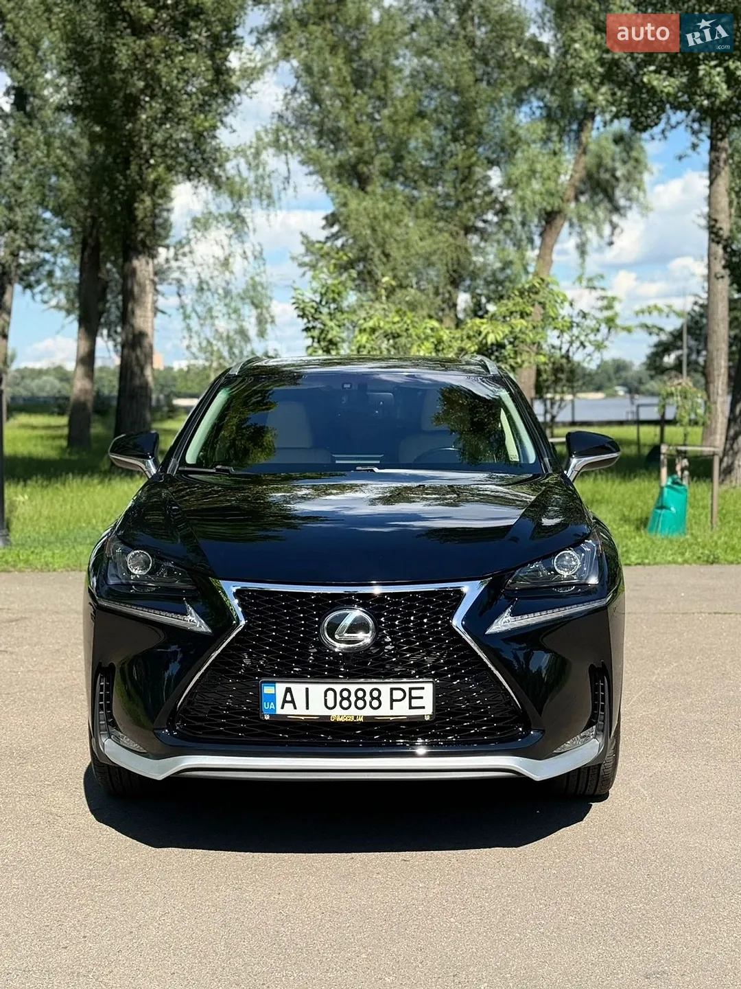 2015 Lexus NX - мініатюра 2
