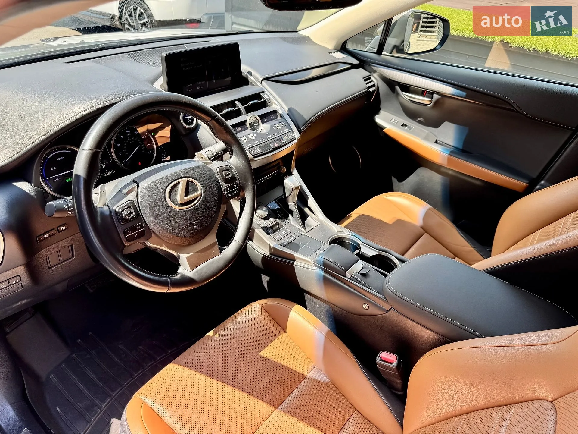 2019 Lexus NX - мініатюра 13