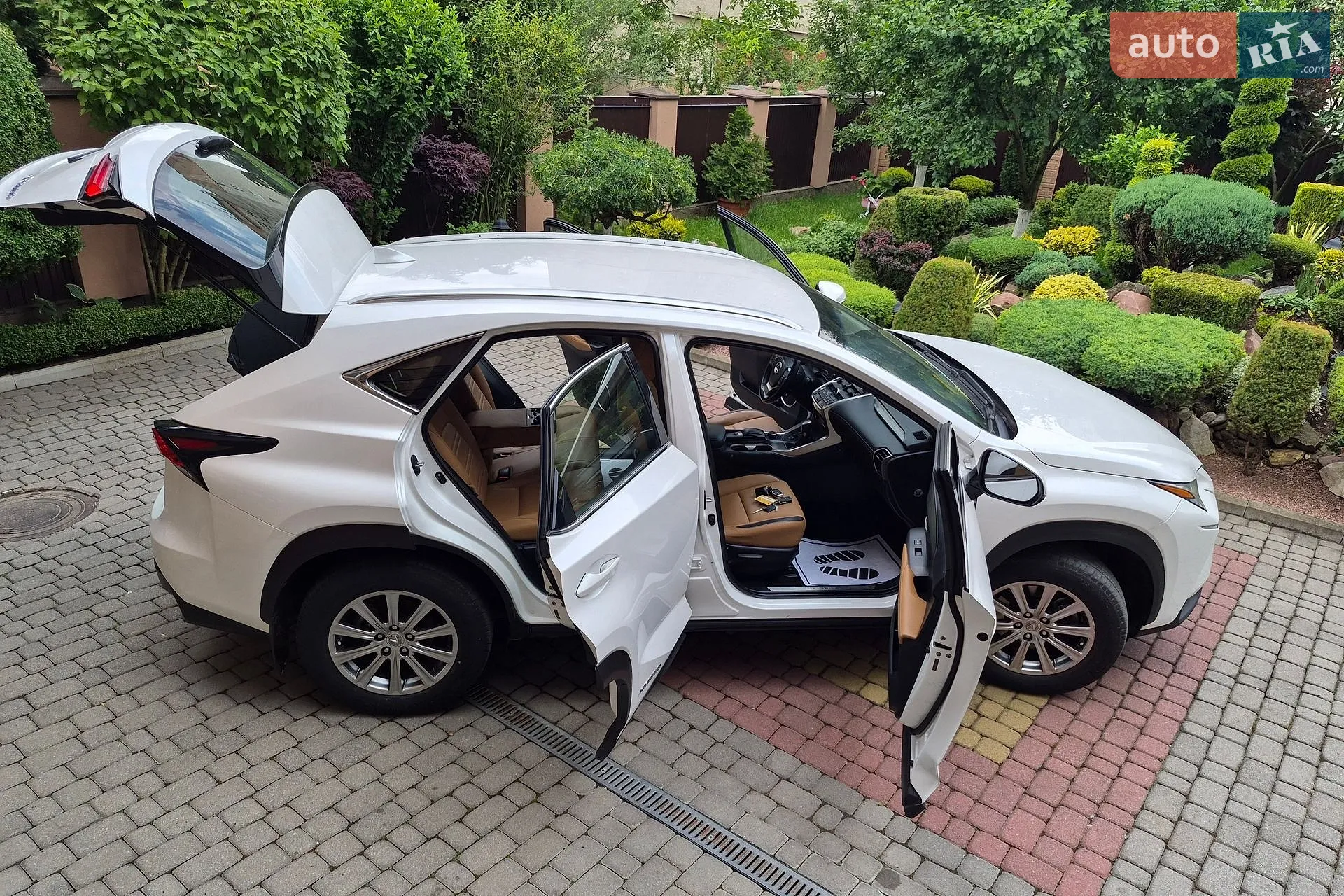 2015 Lexus NX - мініатюра 2
