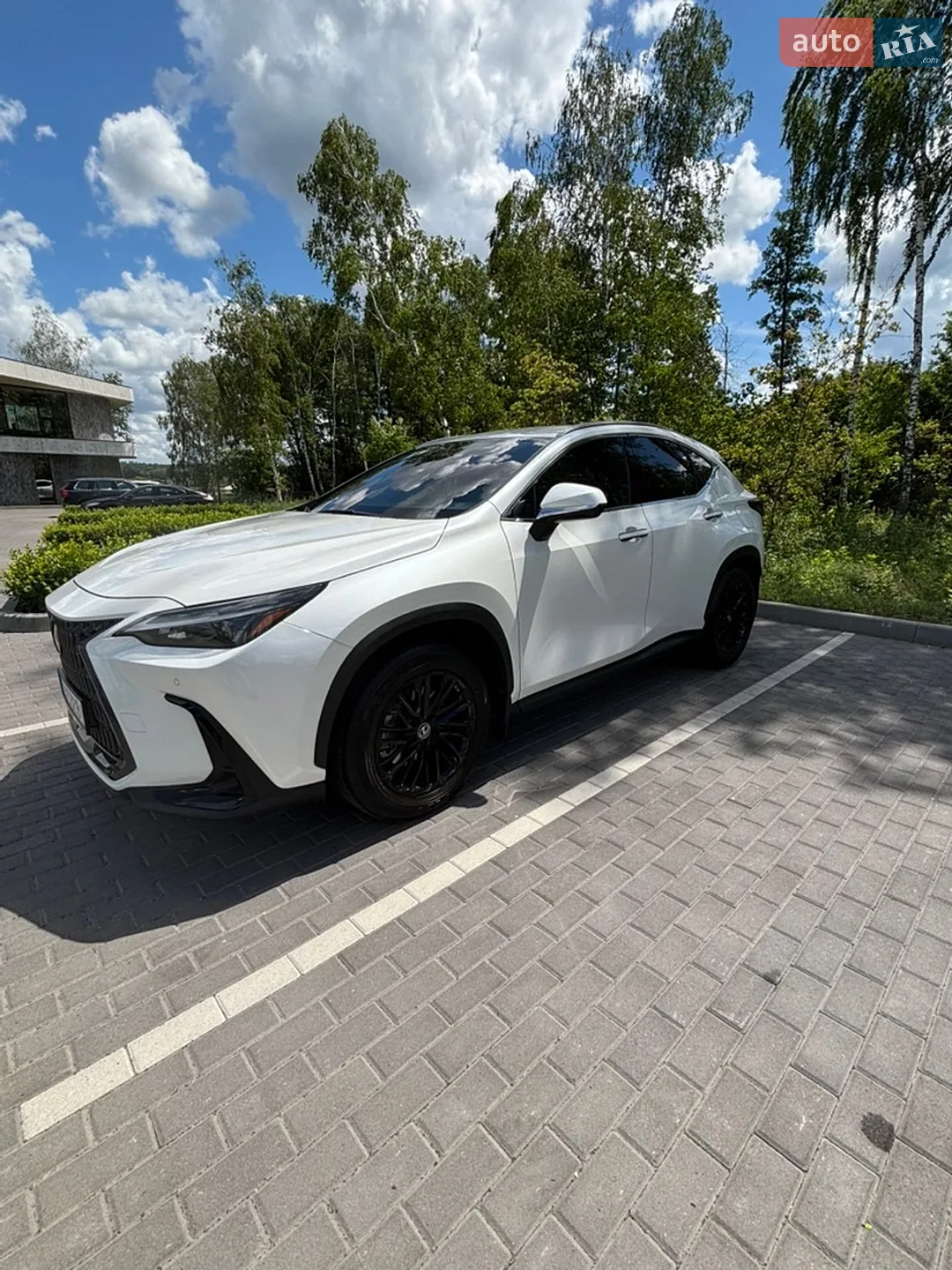 2022 Lexus NX - мініатюра 12
