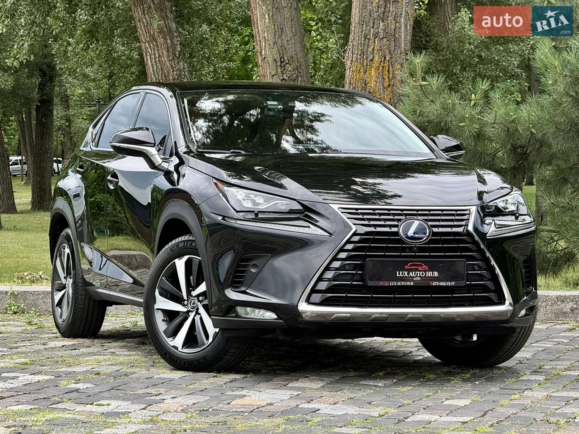 2021 Lexus NX - мініатюра 220