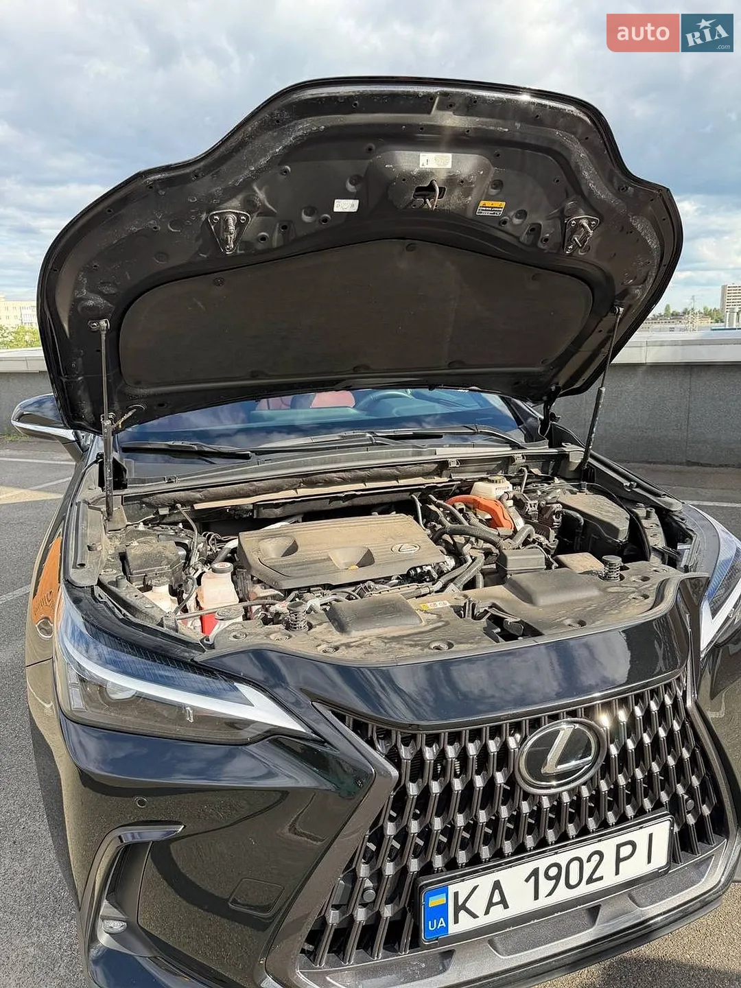 2024 Lexus NX - мініатюра 26