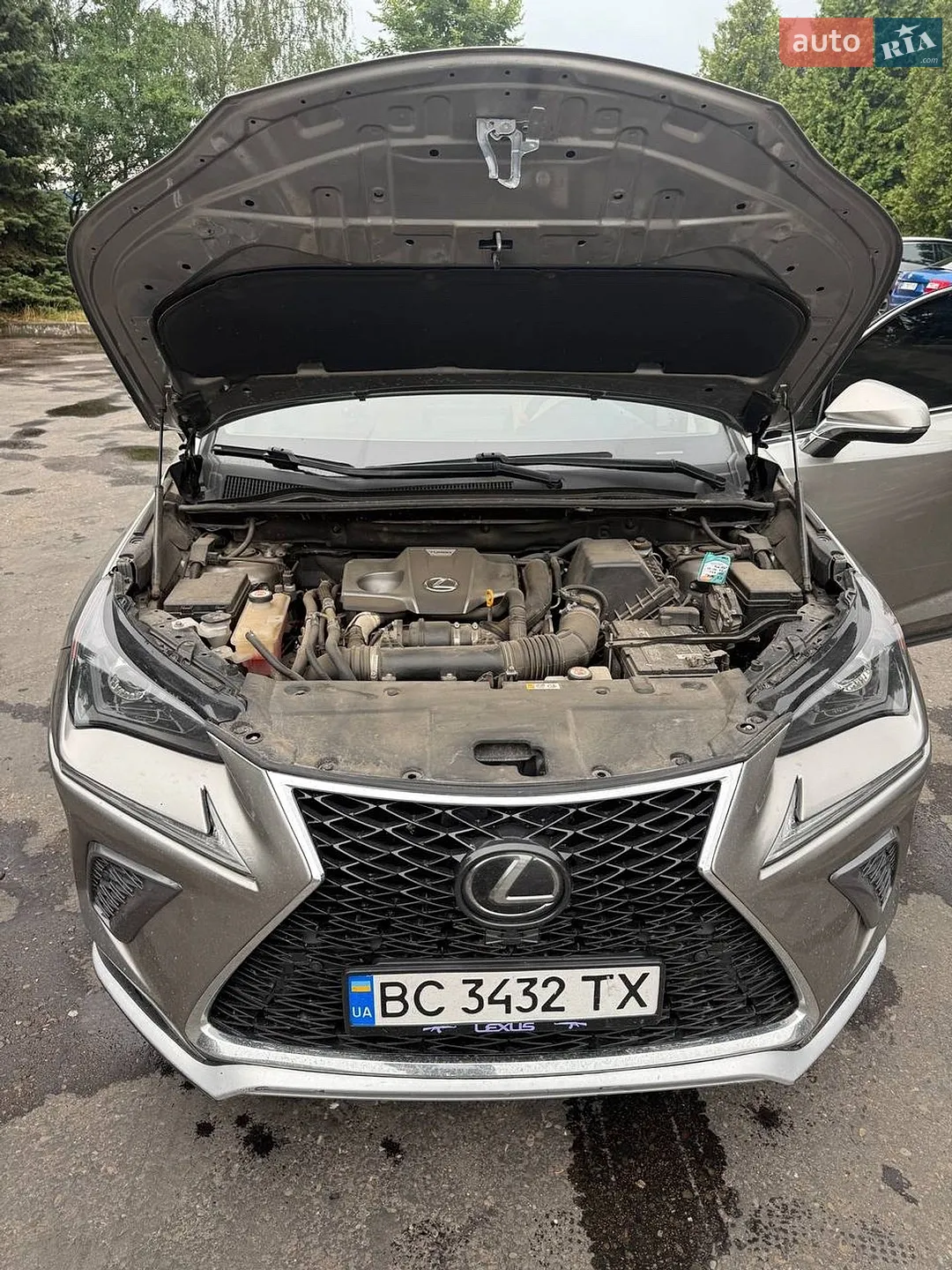 2019 Lexus NX - мініатюра 6