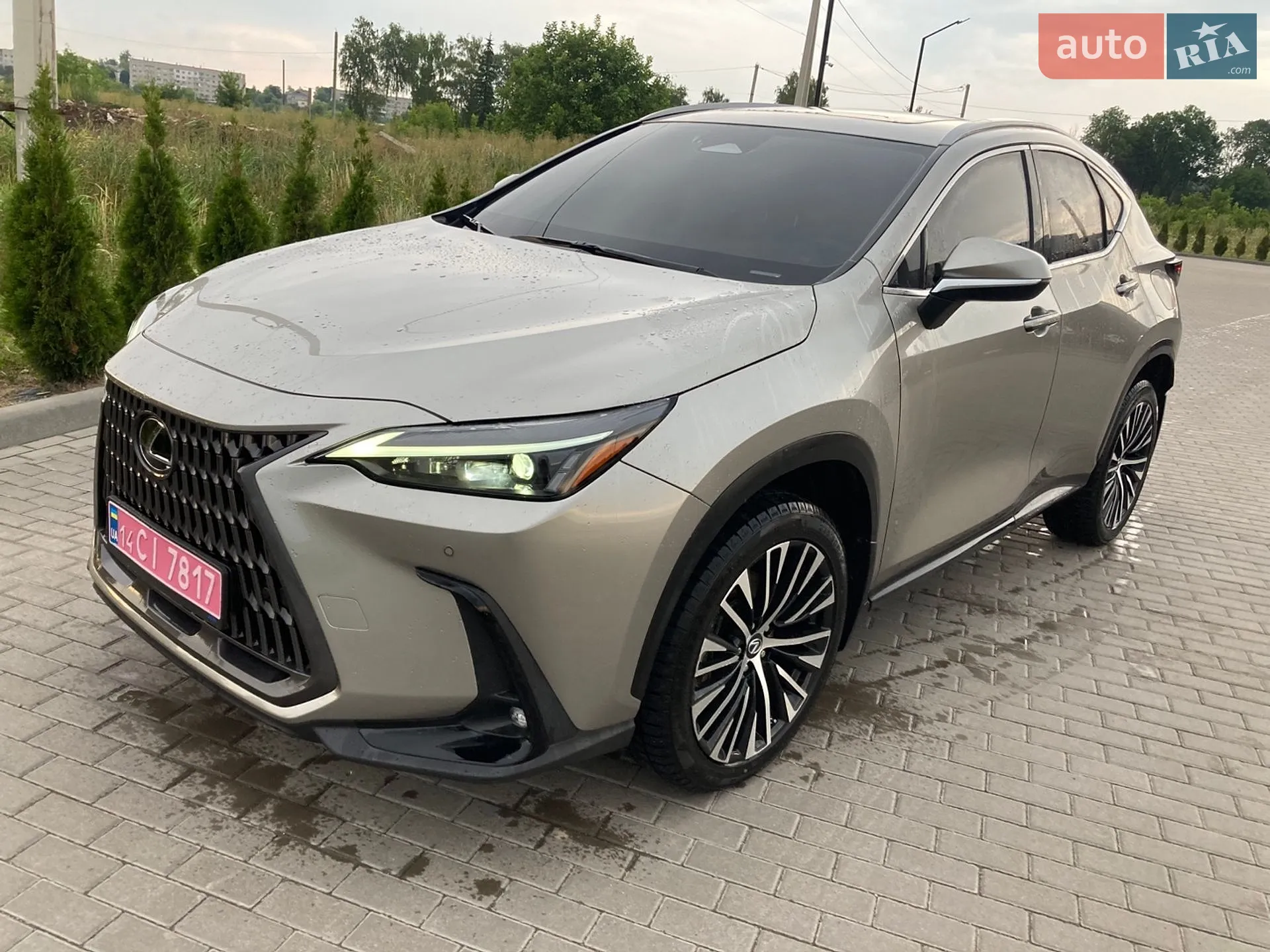 2022 Lexus NX - мініатюра 2