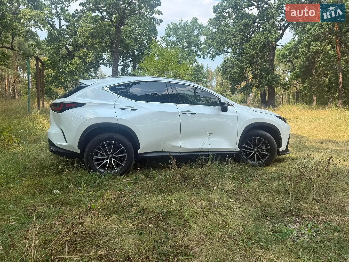 2022 Lexus NX - мініатюра 9