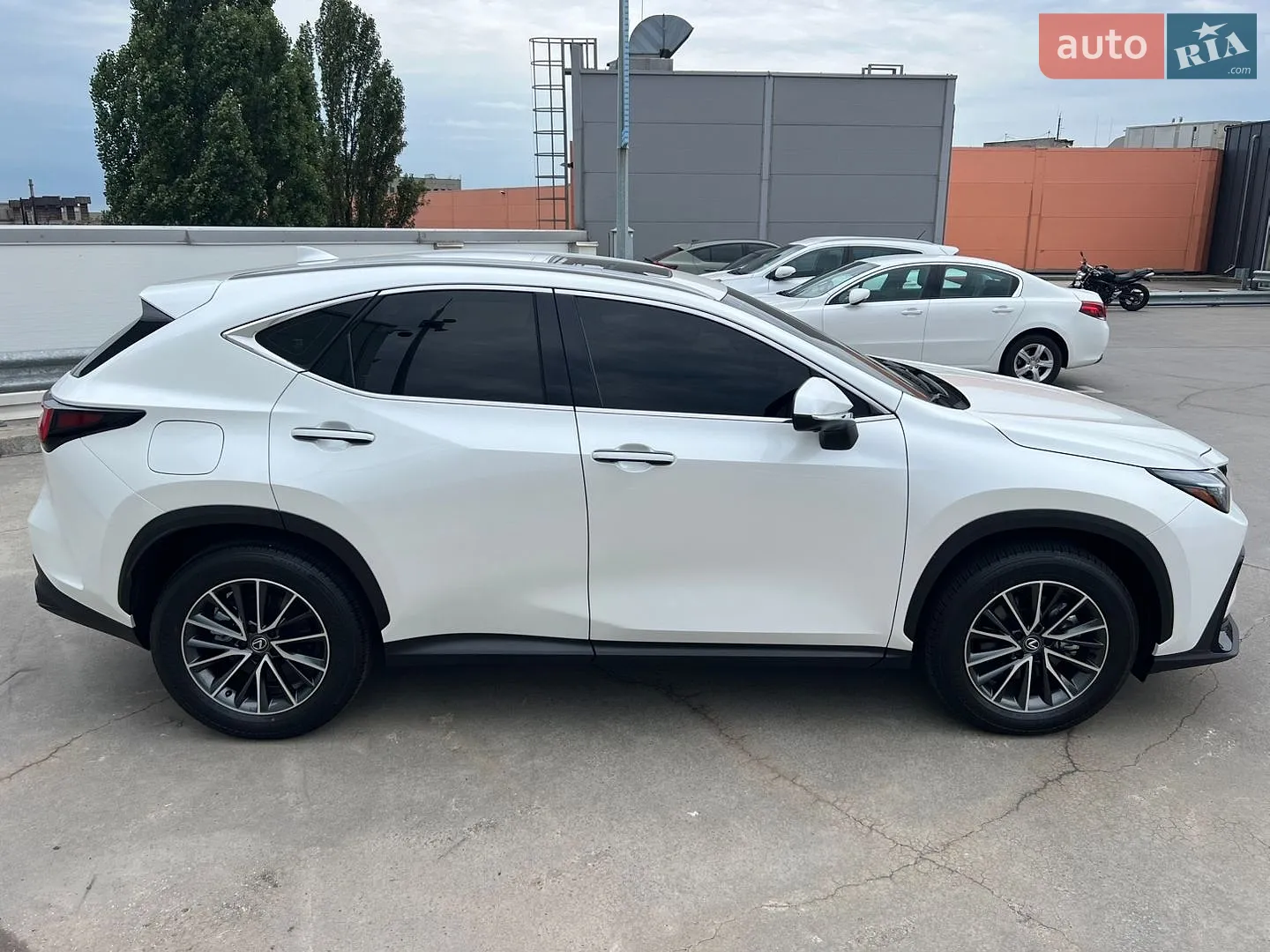 2025 Lexus NX - мініатюра 19