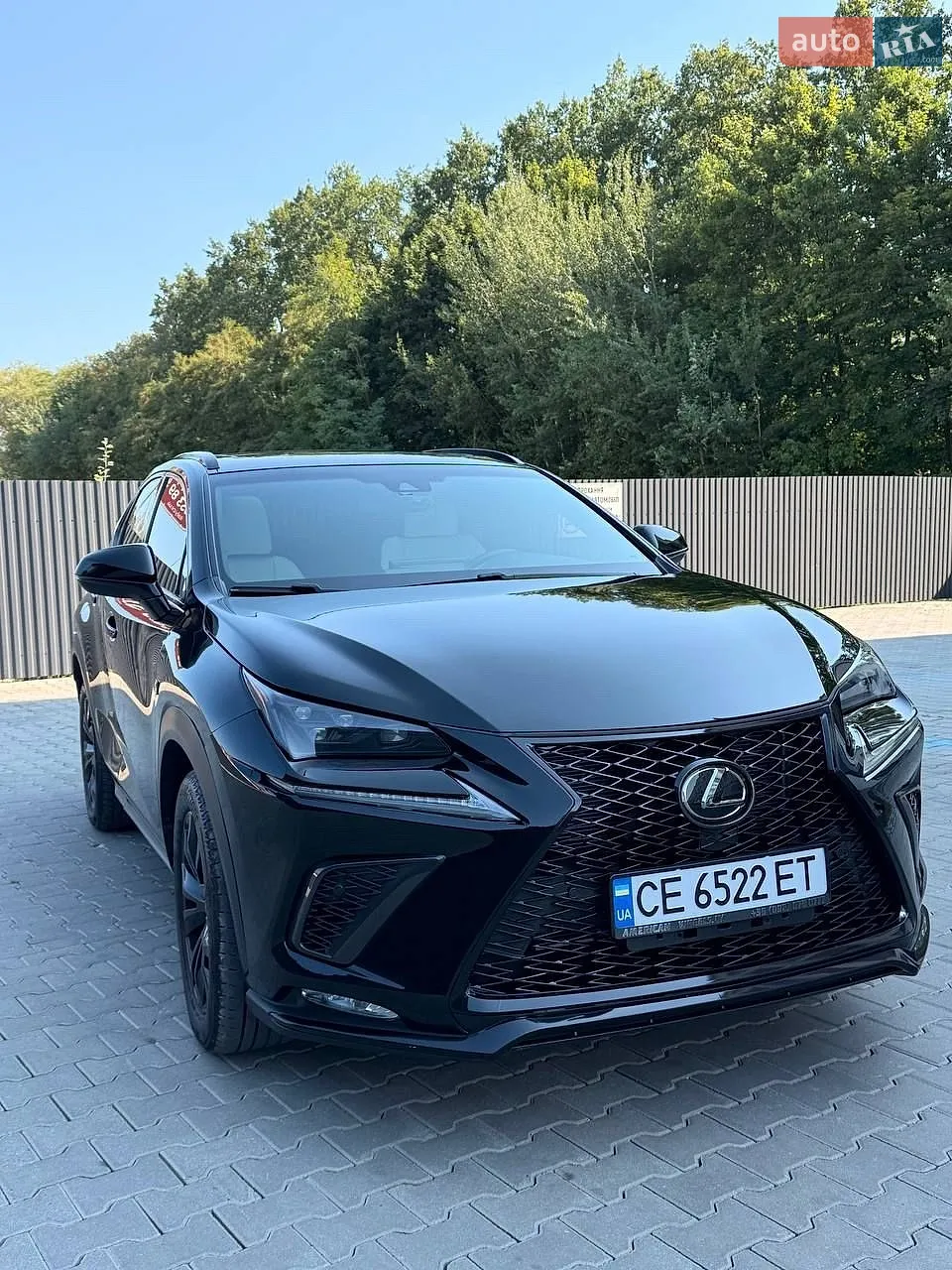 2019 Lexus NX - мініатюра 2