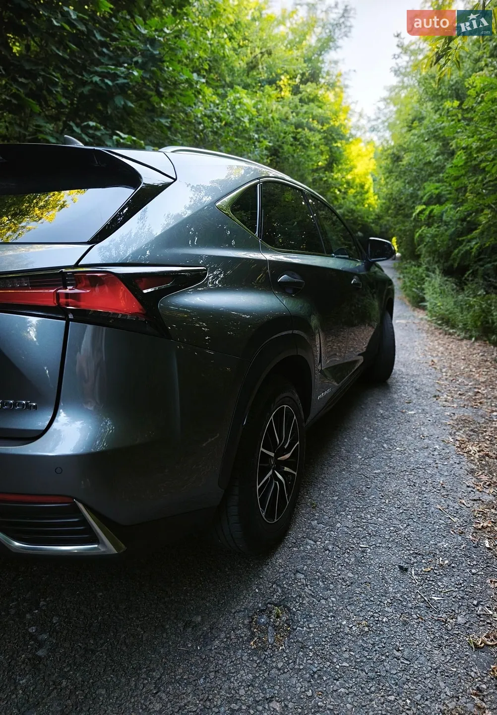 2017 Lexus NX - мініатюра 20