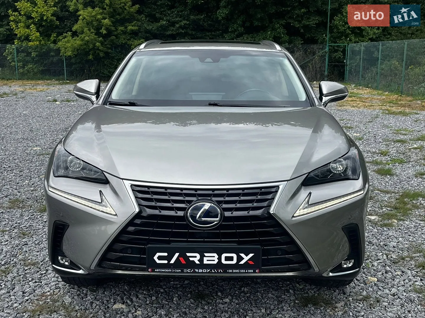 2018 Lexus NX - мініатюра 2