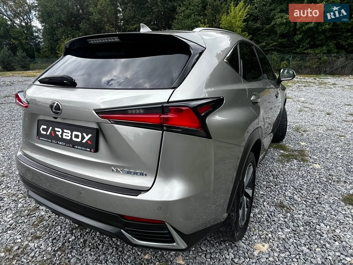 2018 Lexus NX - мініатюра 14